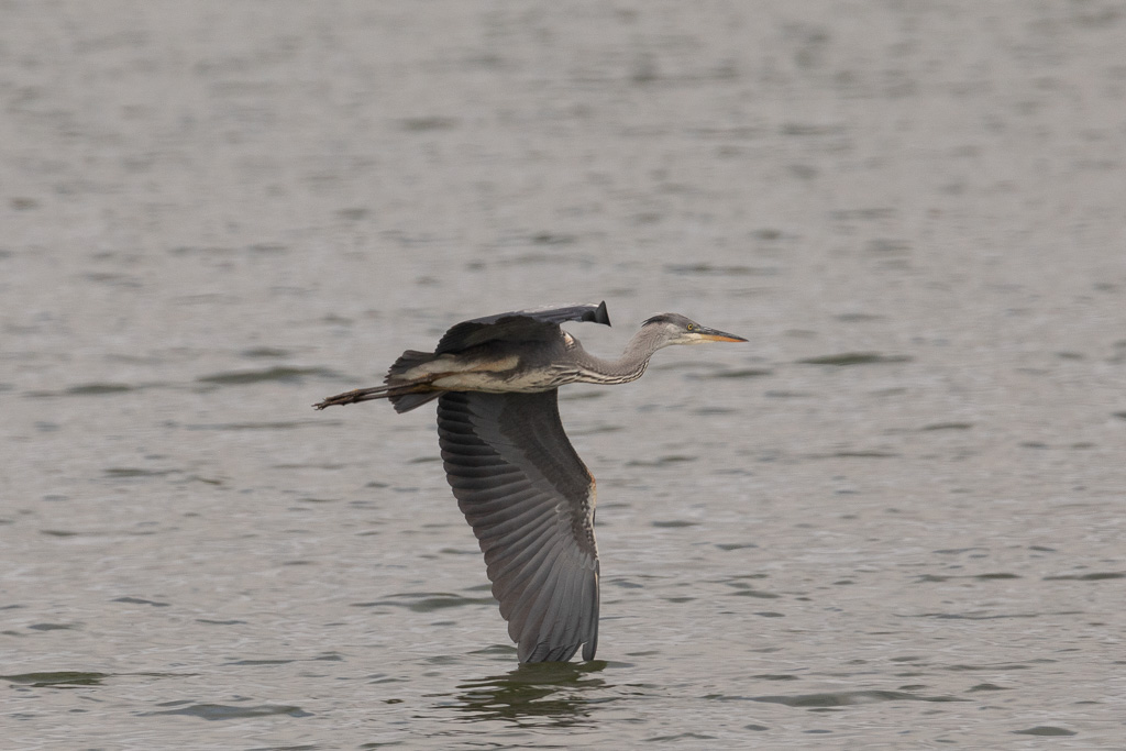 prise de vue sans titre-0860.jpg