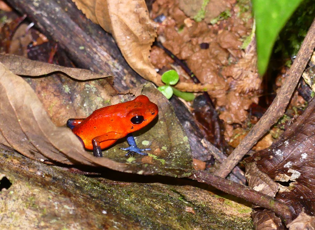P1710686.JPG