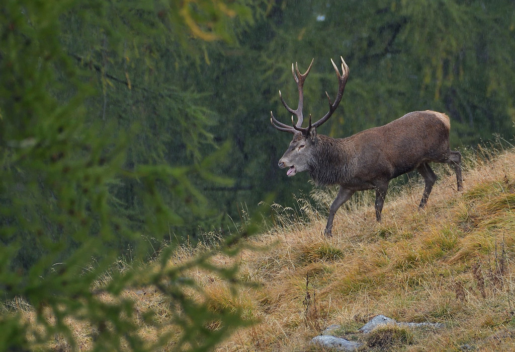 DSC_6349.jpg