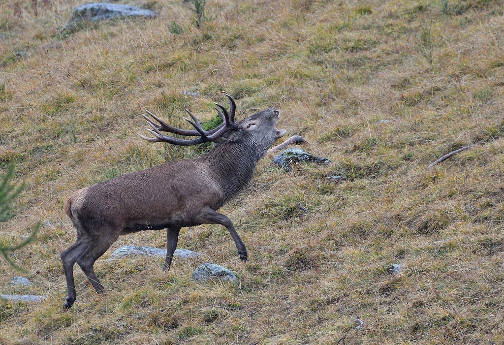 DSC_6373.jpg