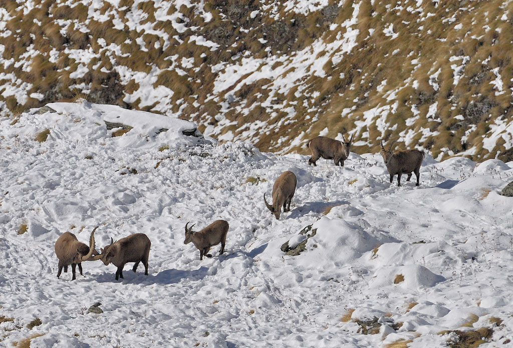 DS5_4332.jpg