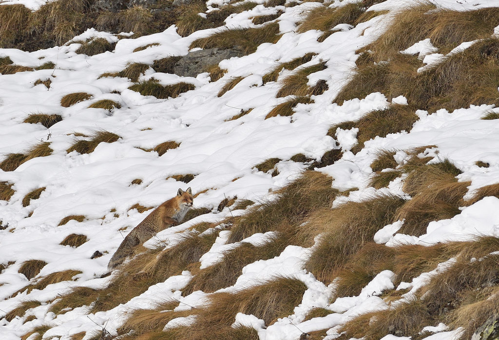 DS5_4369.jpg