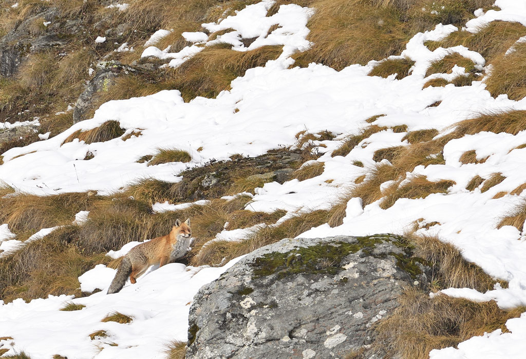 DS5_4372.jpg