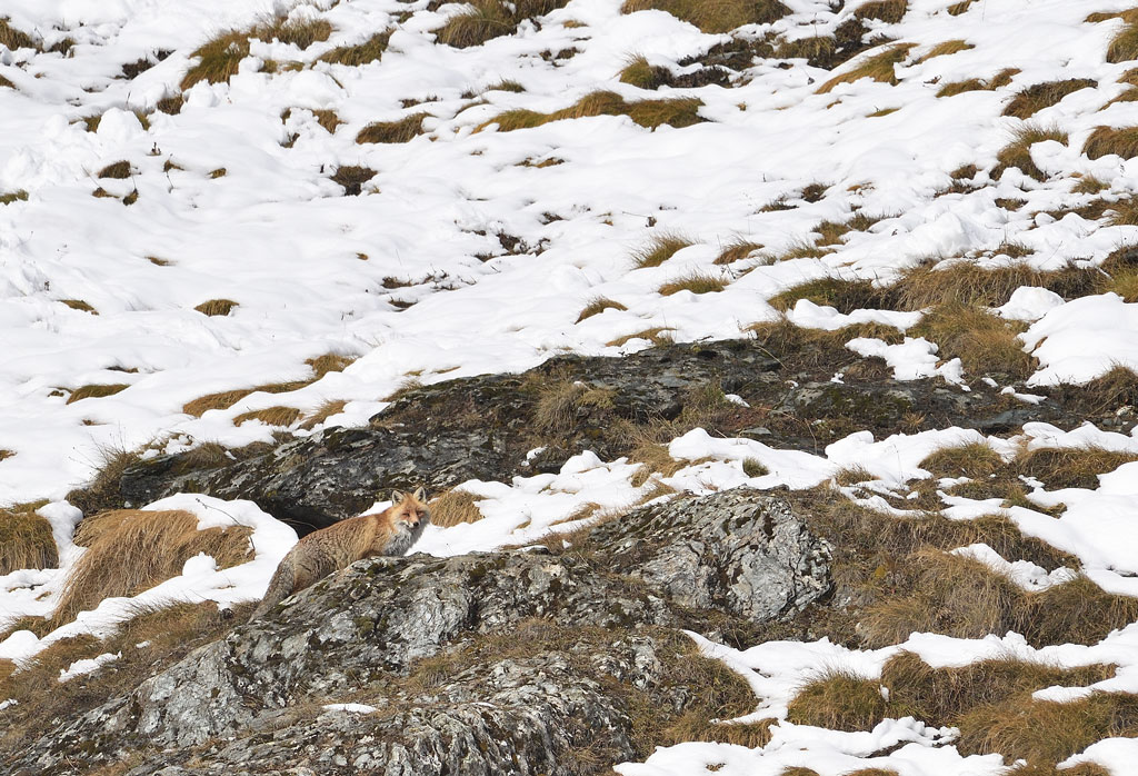 DS5_4377.jpg