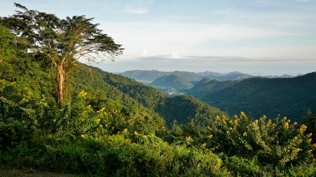 191-Khao Yai.JPG