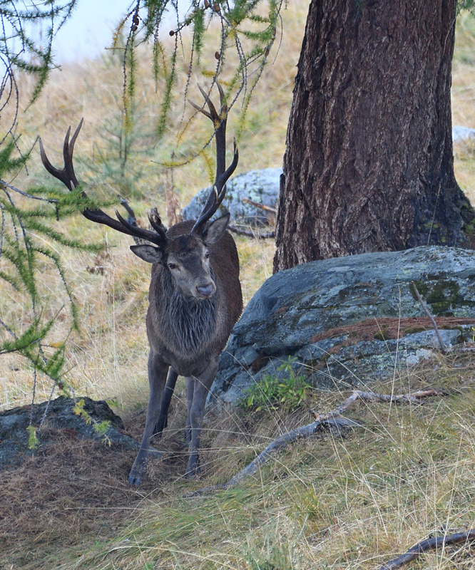 DSC_6382.jpg