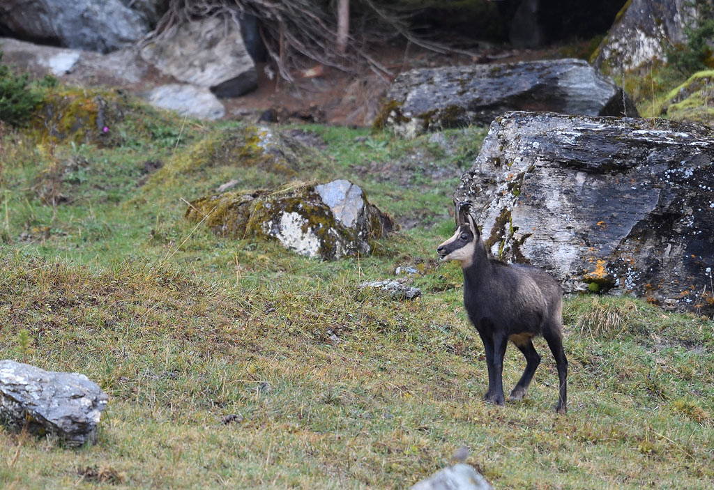 DS5_3359.jpg
