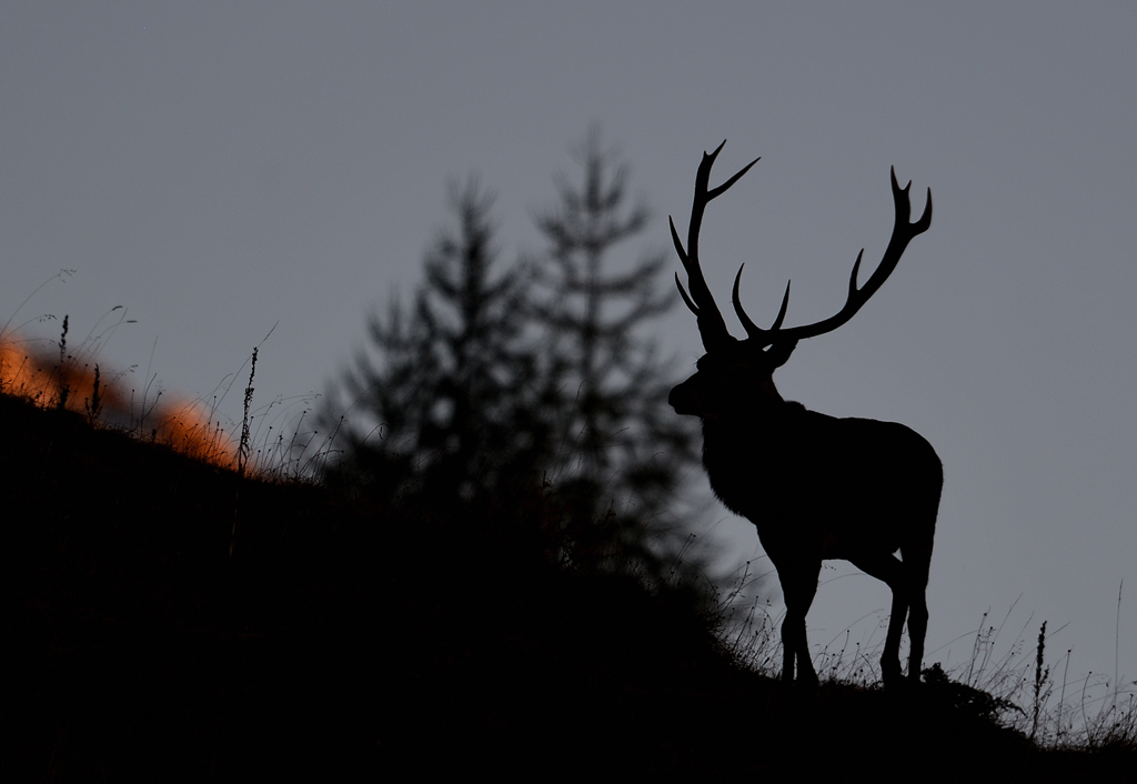 DS5_3401.jpg