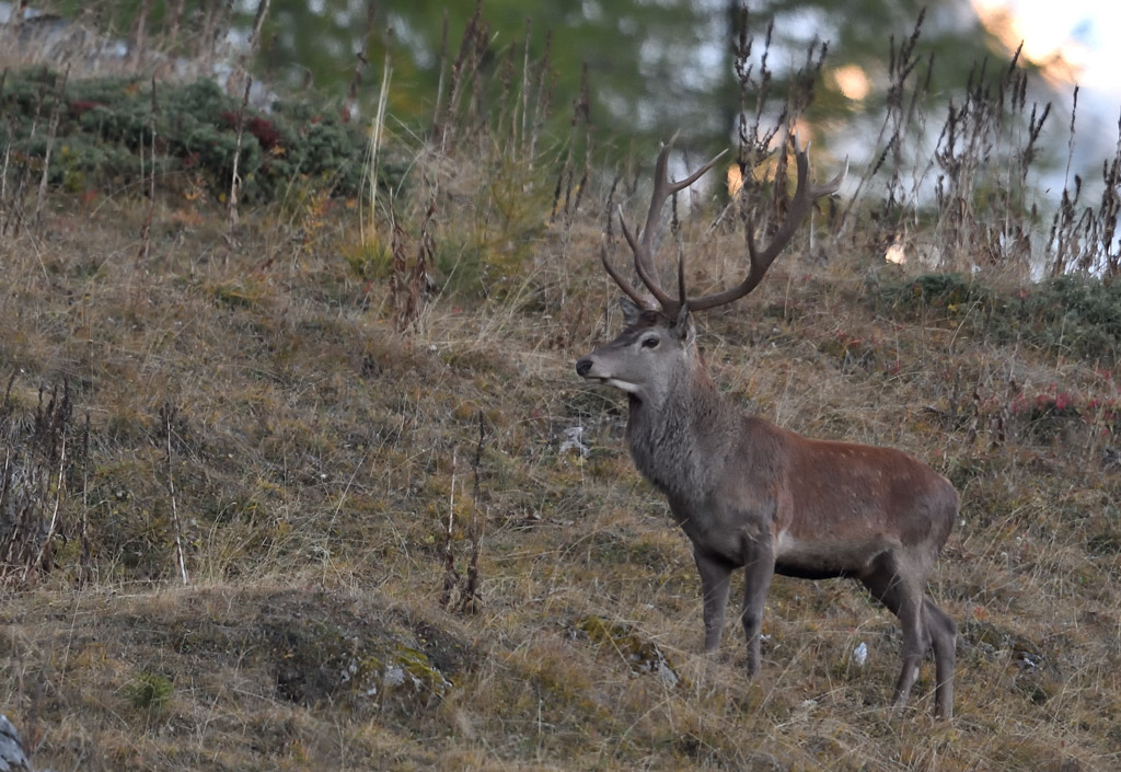 DS5_3406.jpg