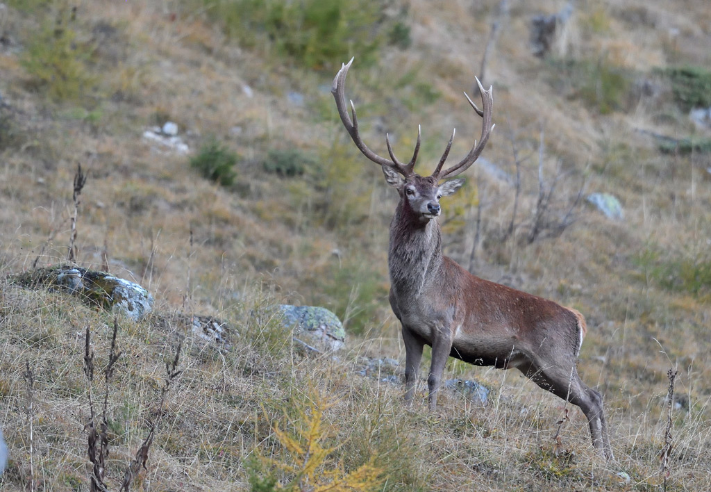 DS5_3424.jpg
