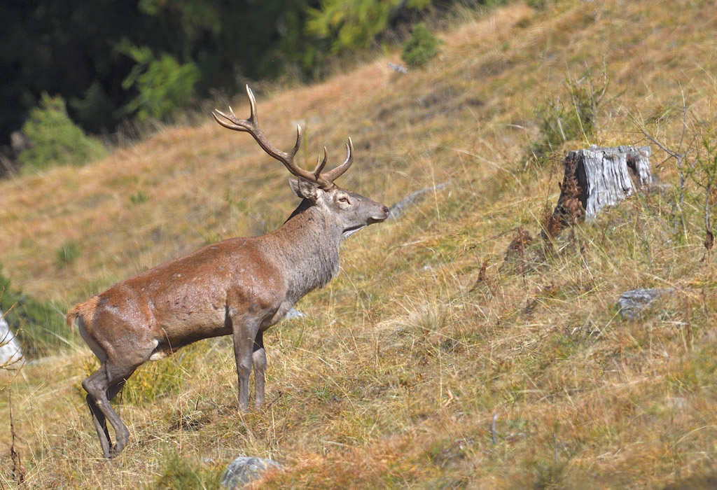 DS5_3449.jpg