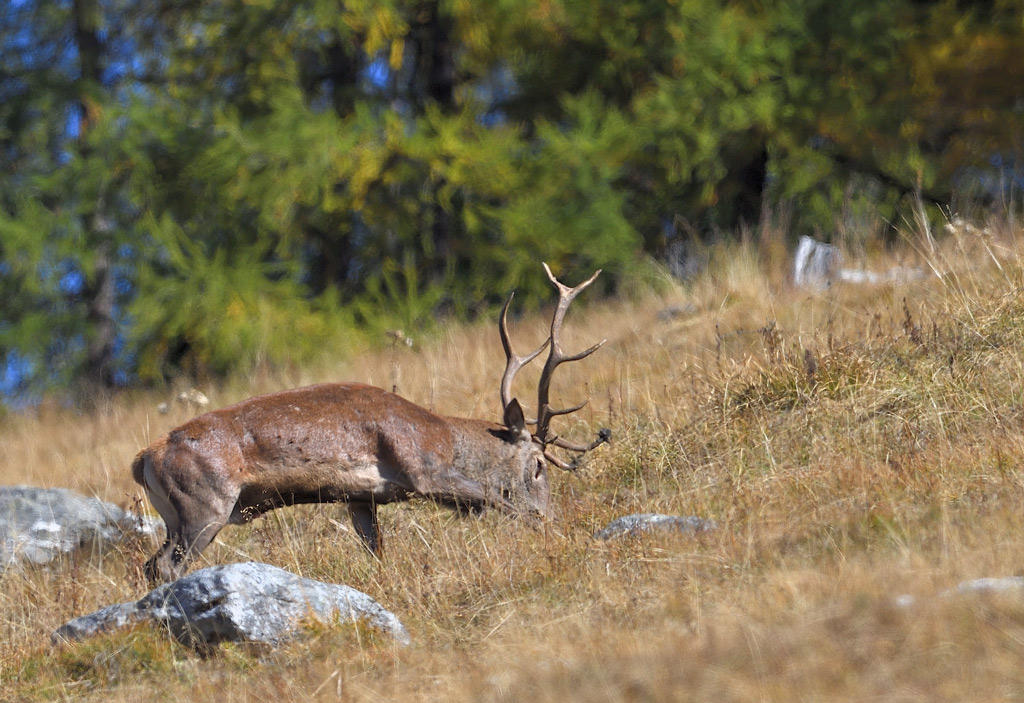 DS5_3473.jpg