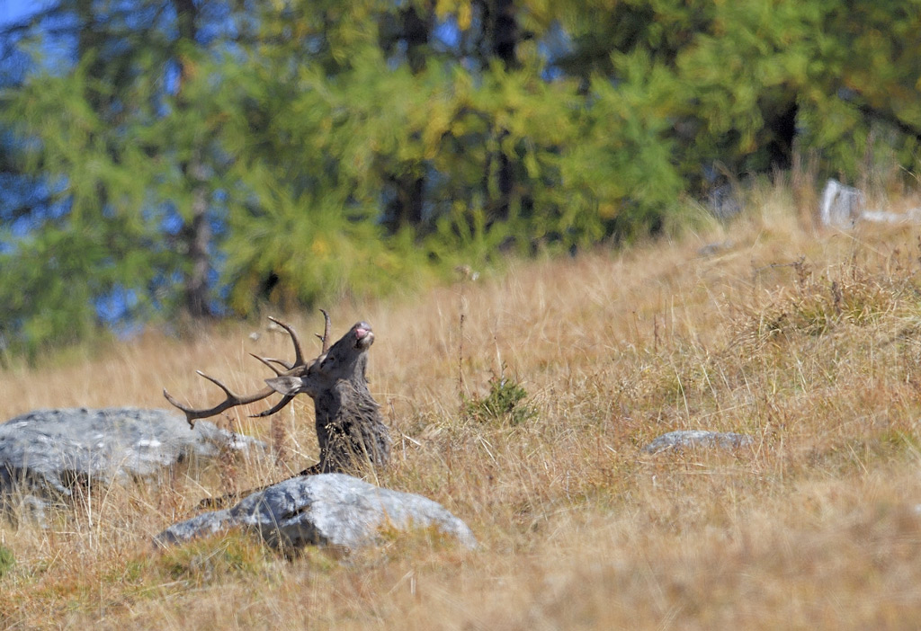 DS5_3483.jpg