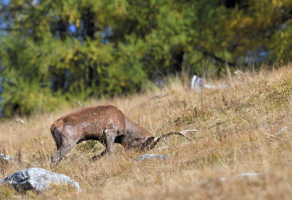 DS5_3496.jpg