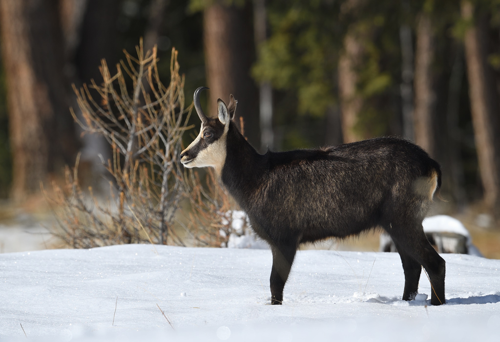 DS5_5139.jpg