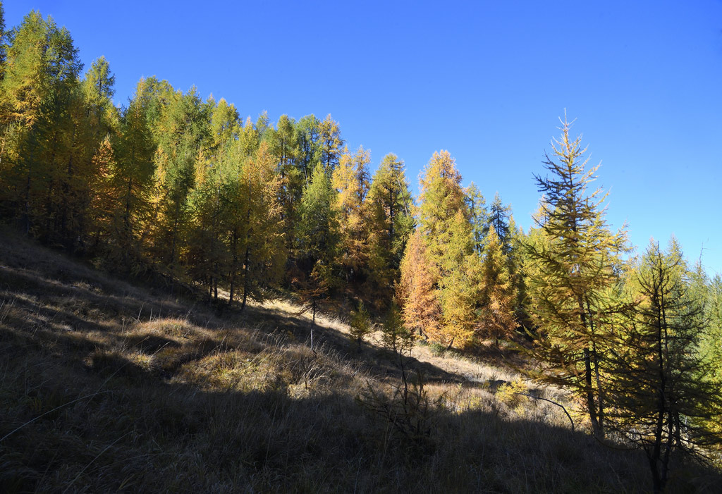 DS5_3601.jpg