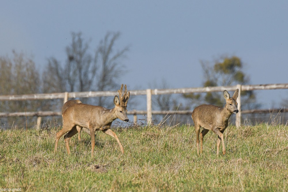 DSC_2277_912.JPG