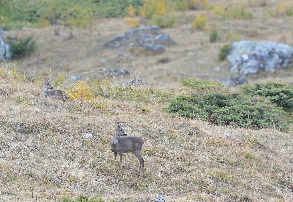 DSC_6413.jpg