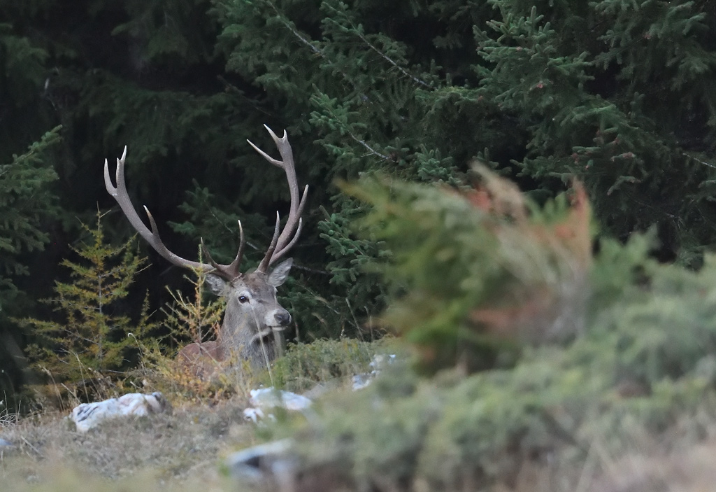 DS5_3689.jpg