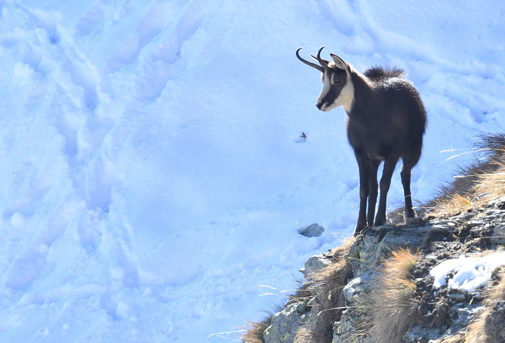 DS5_4733.jpg