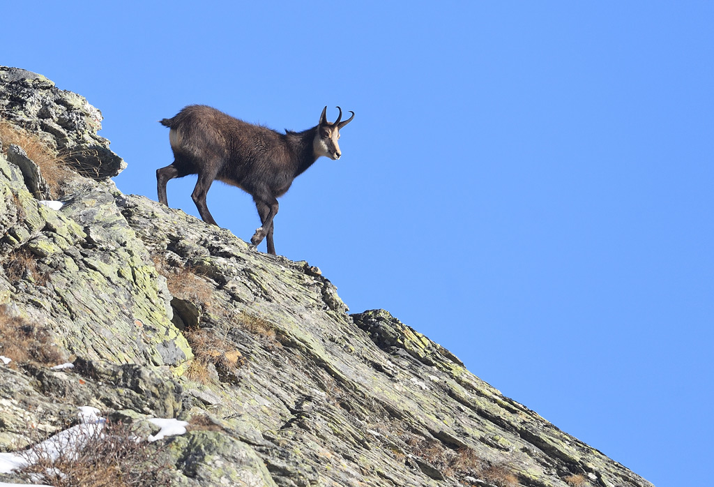 DS5_4853.jpg