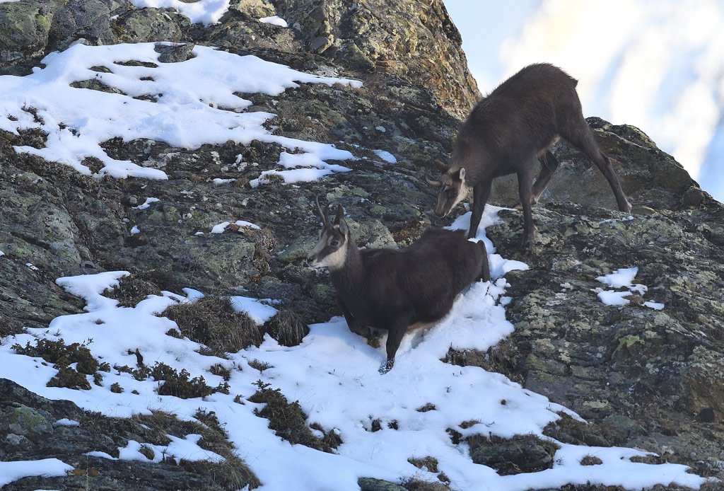 DS5_4874.jpg