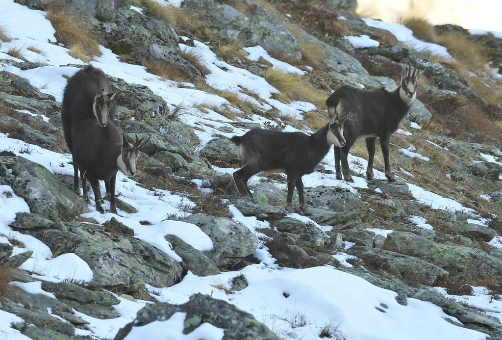 DS5_4904.jpg