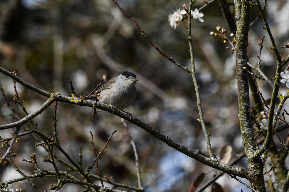 DSC_6895_1057.JPG