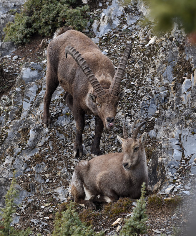 DS5_6458.jpg