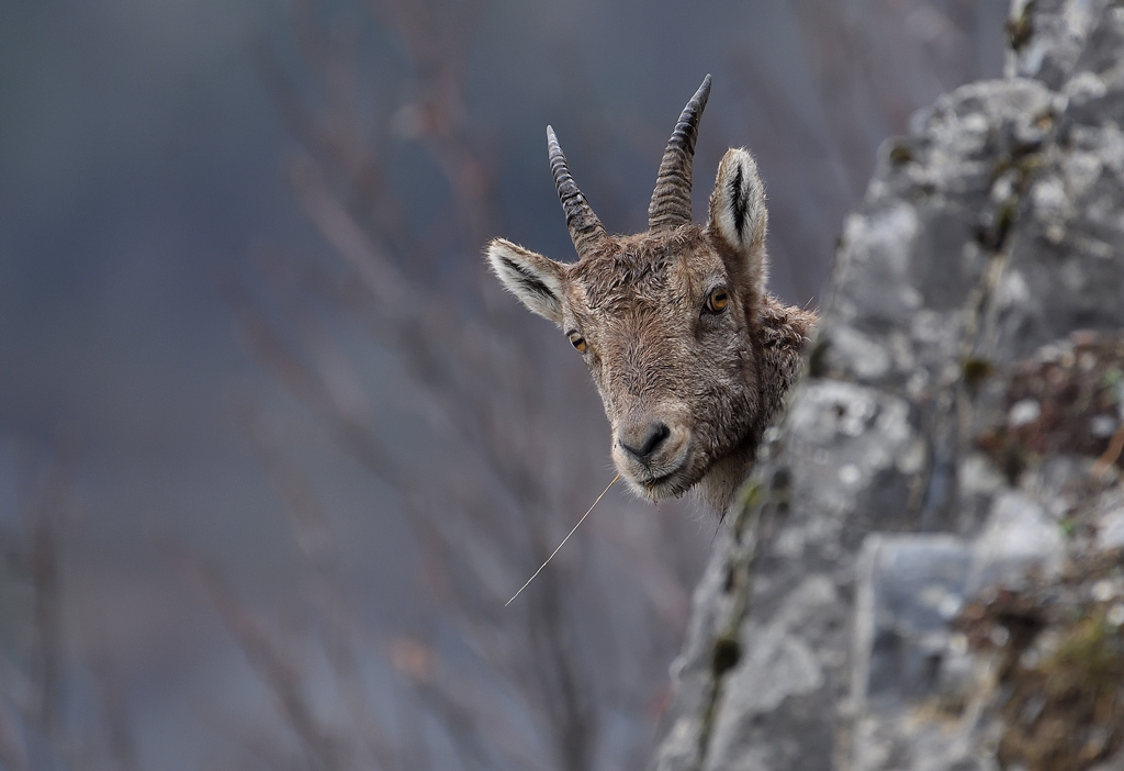 DS5_6459.jpg