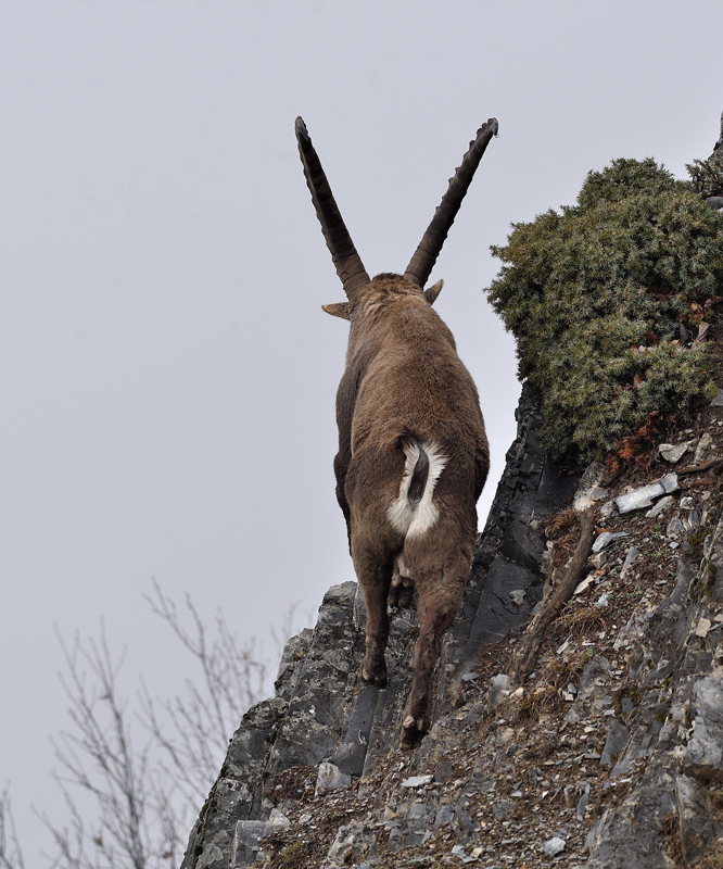 DS5_6467.jpg