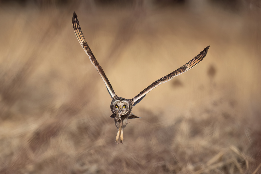 42.jpg