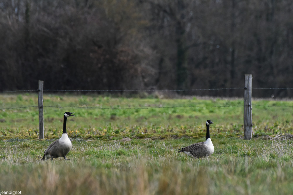 DSC_6793_1114.JPG