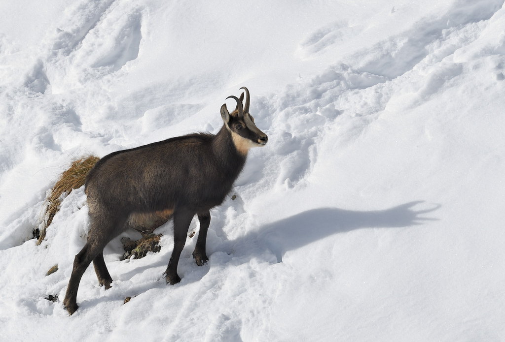DS5_5346.jpg