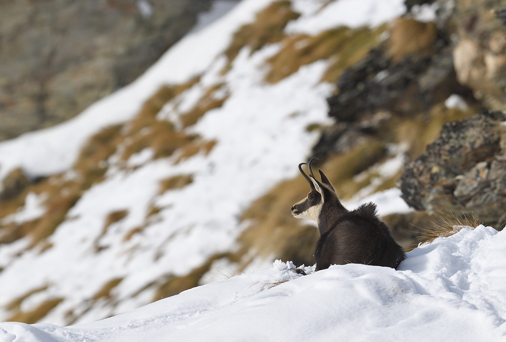 DS5_5384.jpg