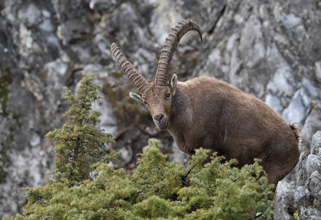 DS5_6546.jpg