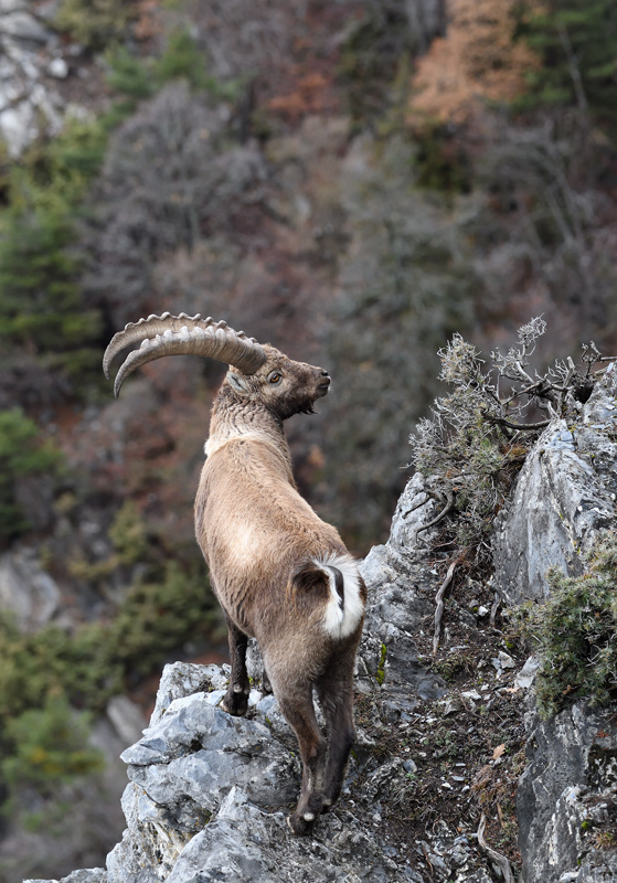 DS5_6553.jpg