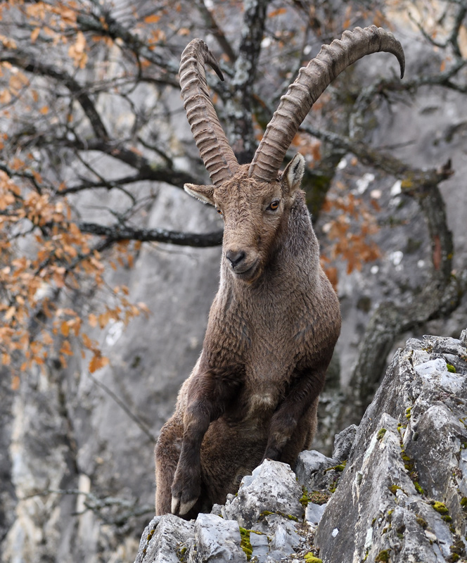 DS5_6560.jpg