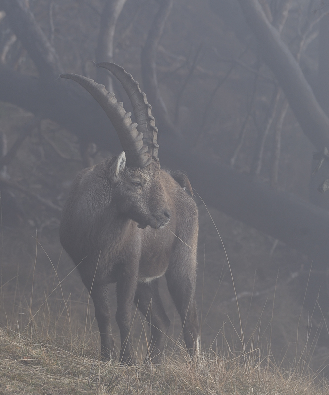 DS5_6576.jpg