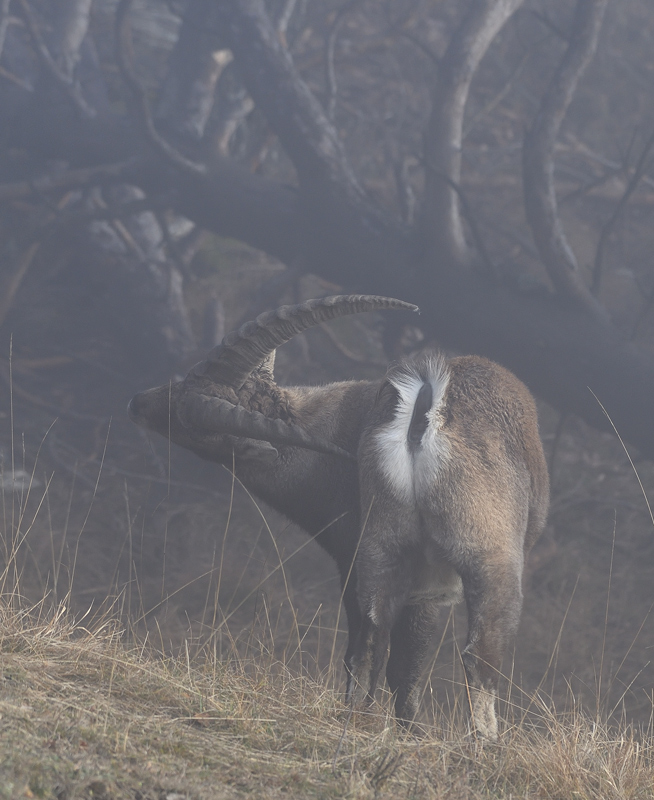 DS5_6577.jpg
