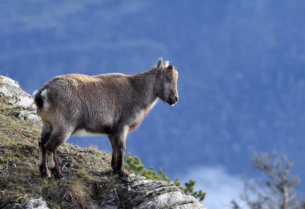 DS5_6581.jpg