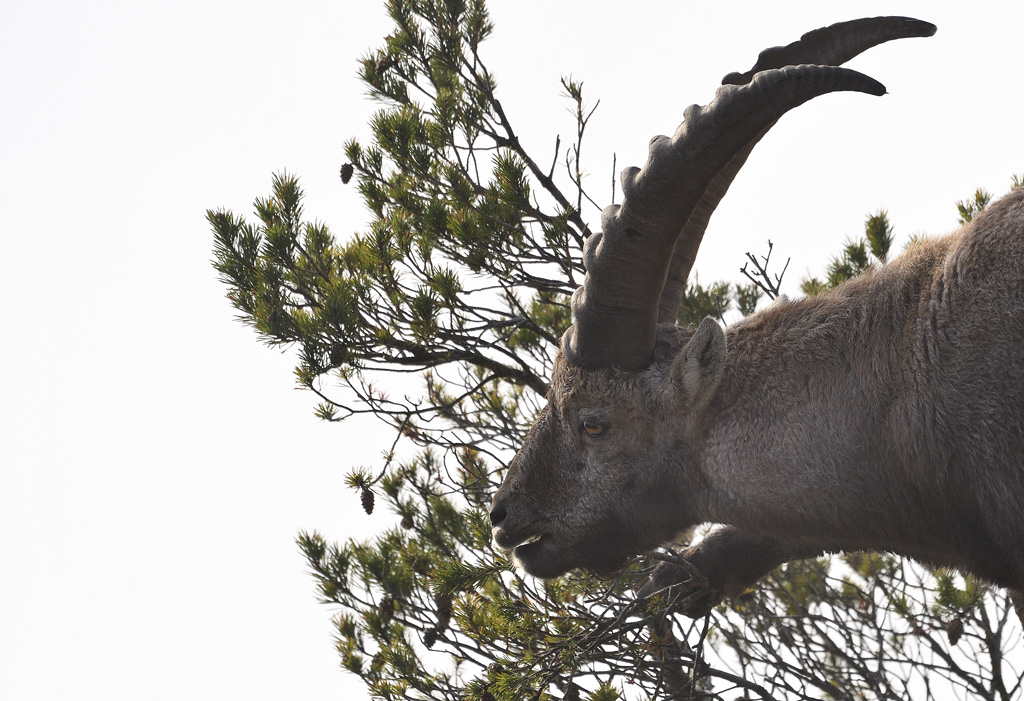 DS5_6605.jpg