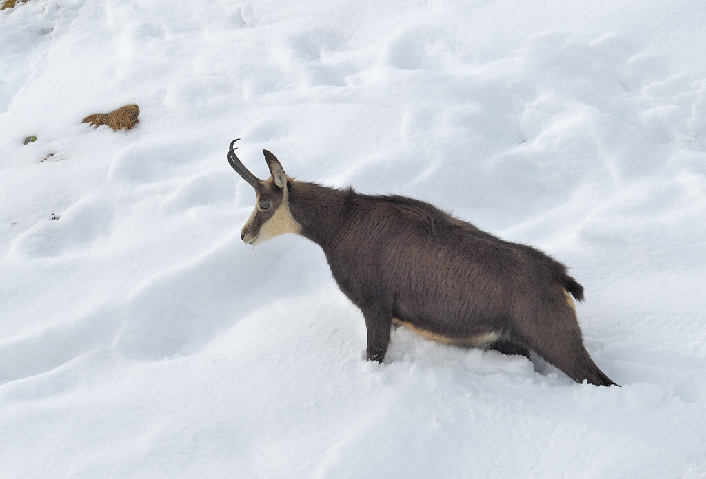 DS5_5444.jpg