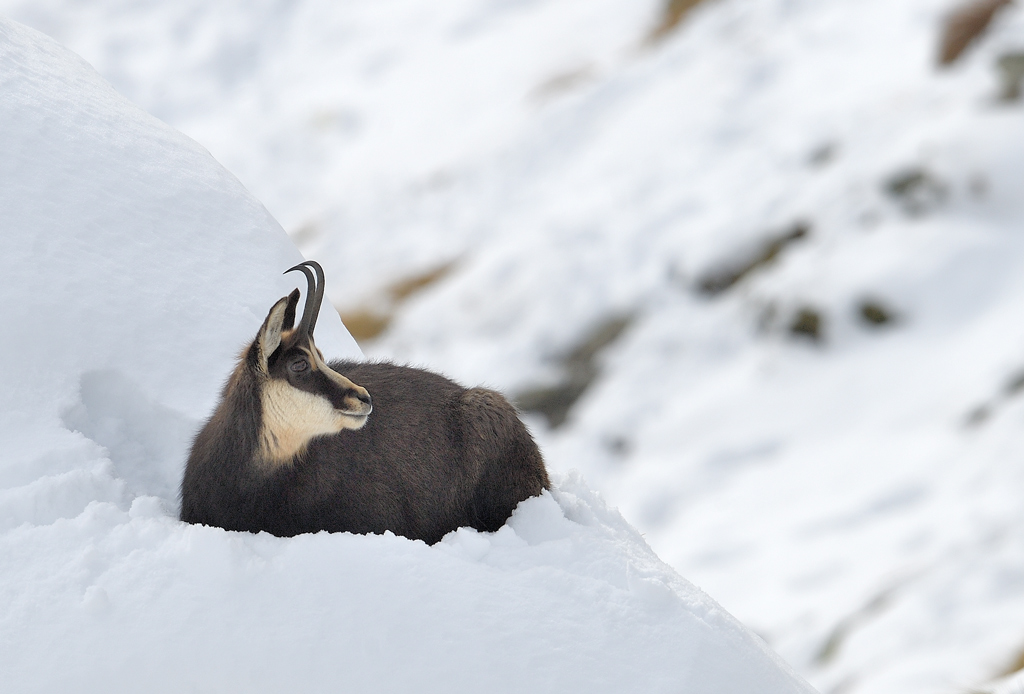 DS5_5455.jpg