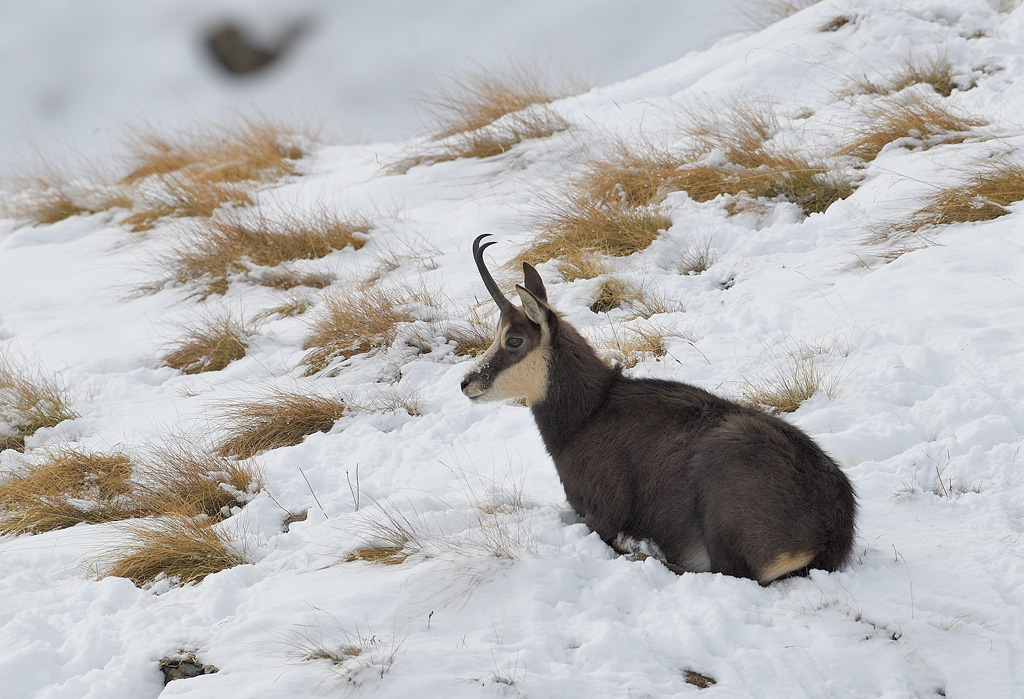 DS5_5471.jpg