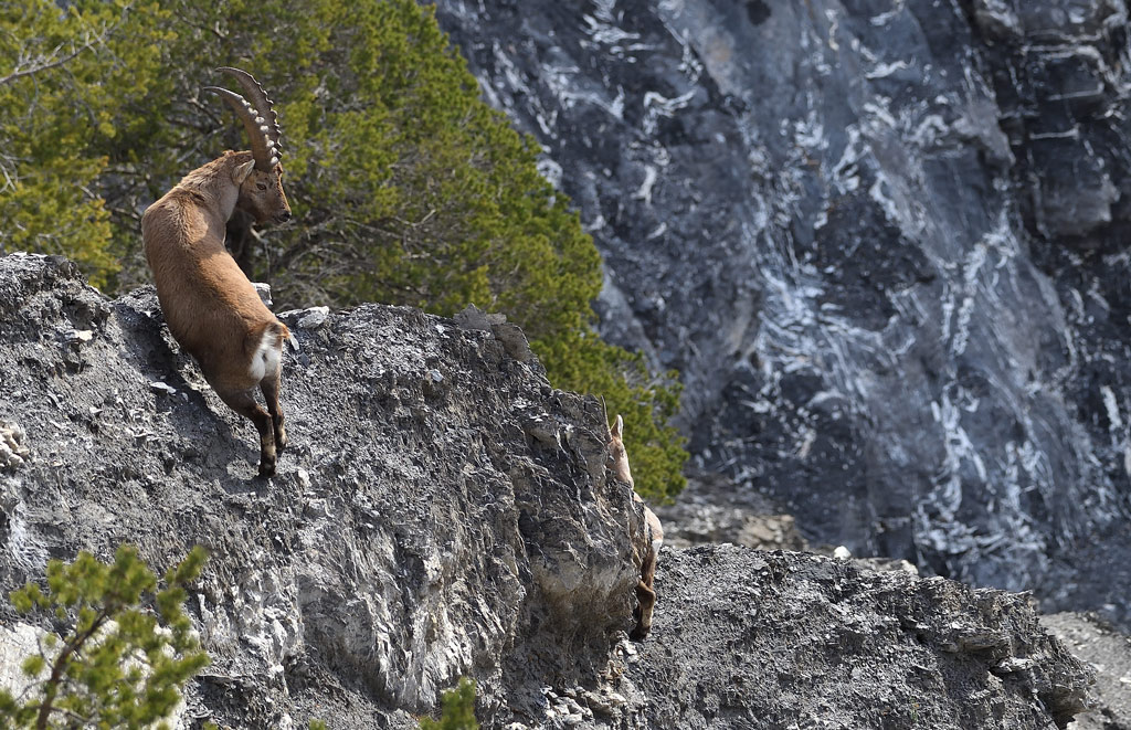 DS5_6675.jpg