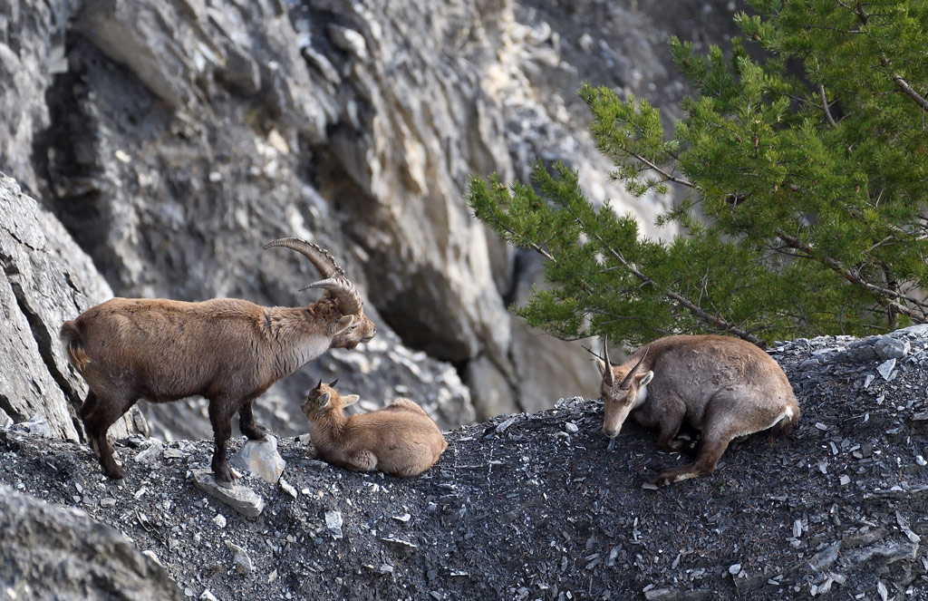 DS5_6687.jpg
