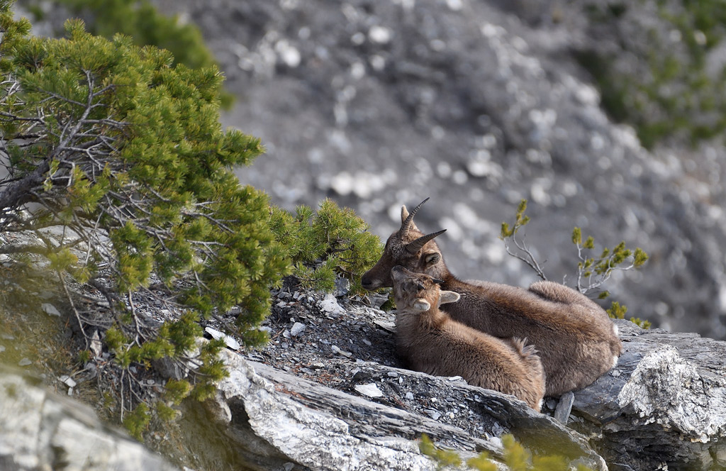 DS5_6690.jpg