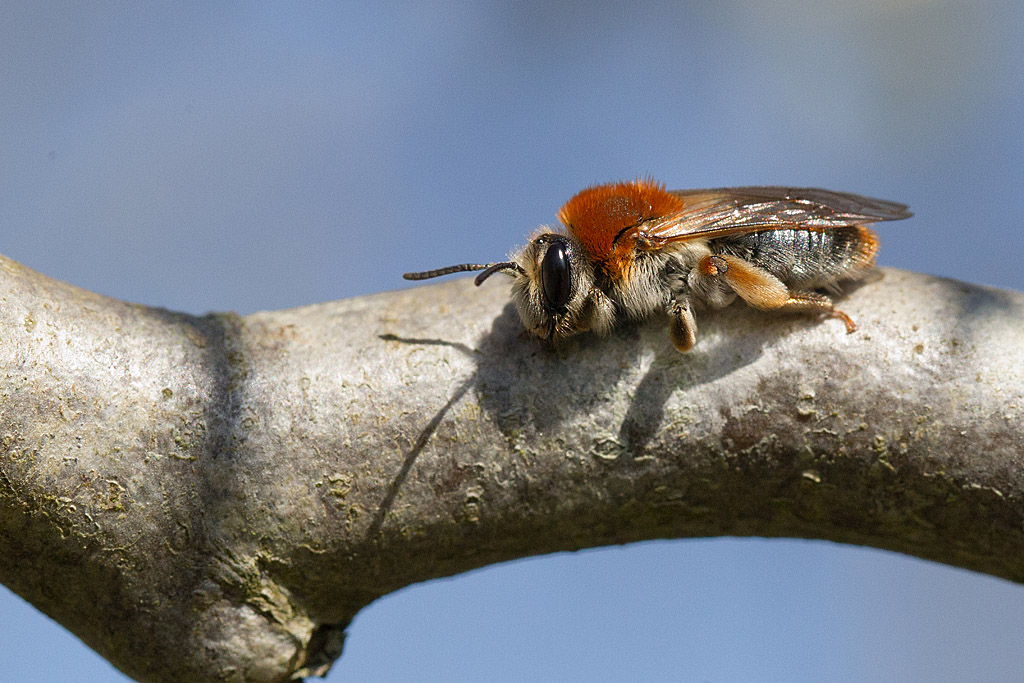 IMG_7810.jpg