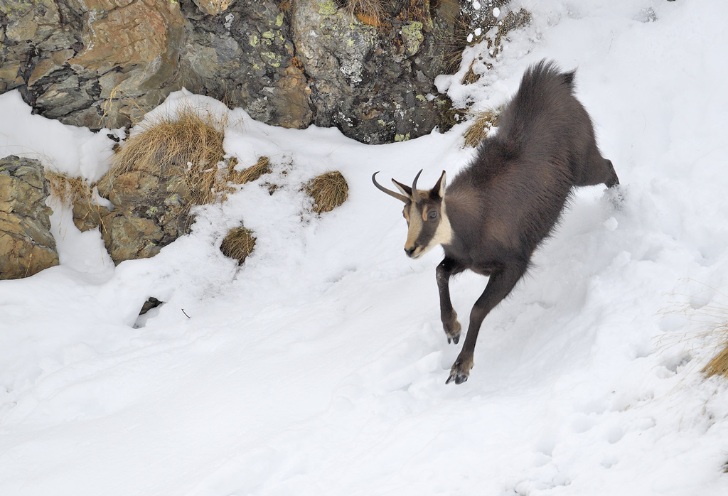 DS5_5540.jpg